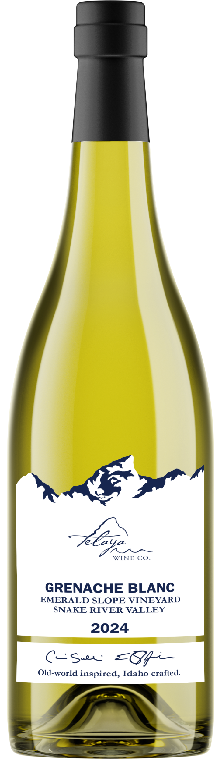 2024 Grenache Blanc